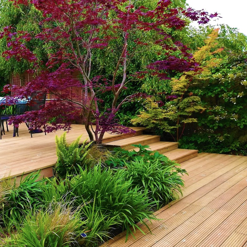 Sekoya Gardens decking project and planting