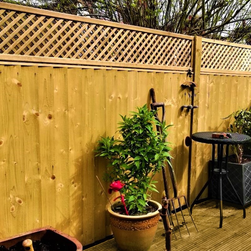 Closeboard fence with diamond shape trellis intalled in st albans by Sekoya Gardens